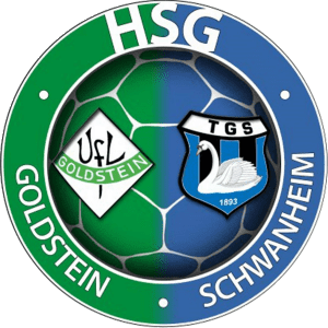 HSG Logo 300 HSG Logo