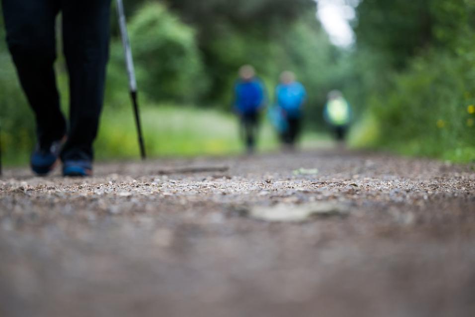 Nahaufnahme eines Gehweges mit einer Person mit Gehstock und verschwommenen Wanderern im Hintergrund.